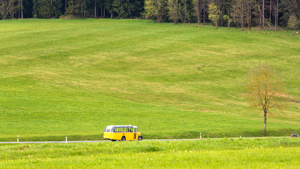 Harzrundfahrt mit dem gelben Oldtimer-Bus
